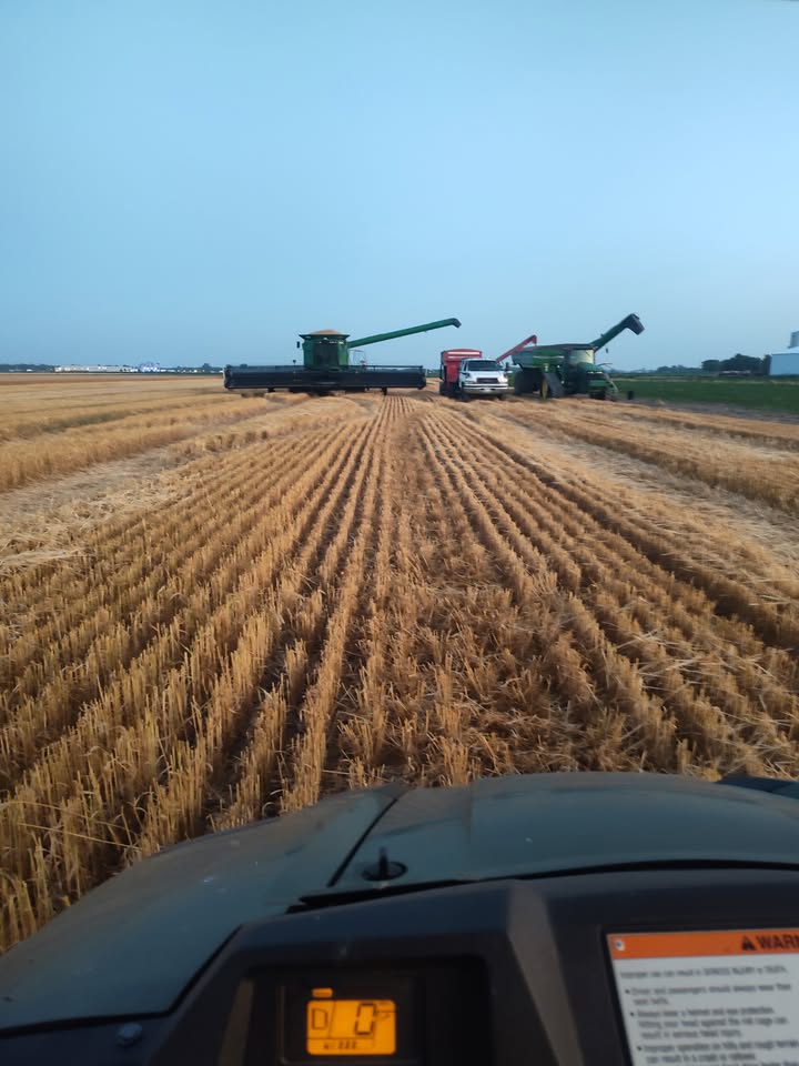 Seed Genetics Direct