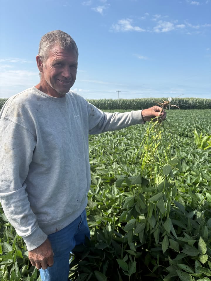 Seed Genetics Direct