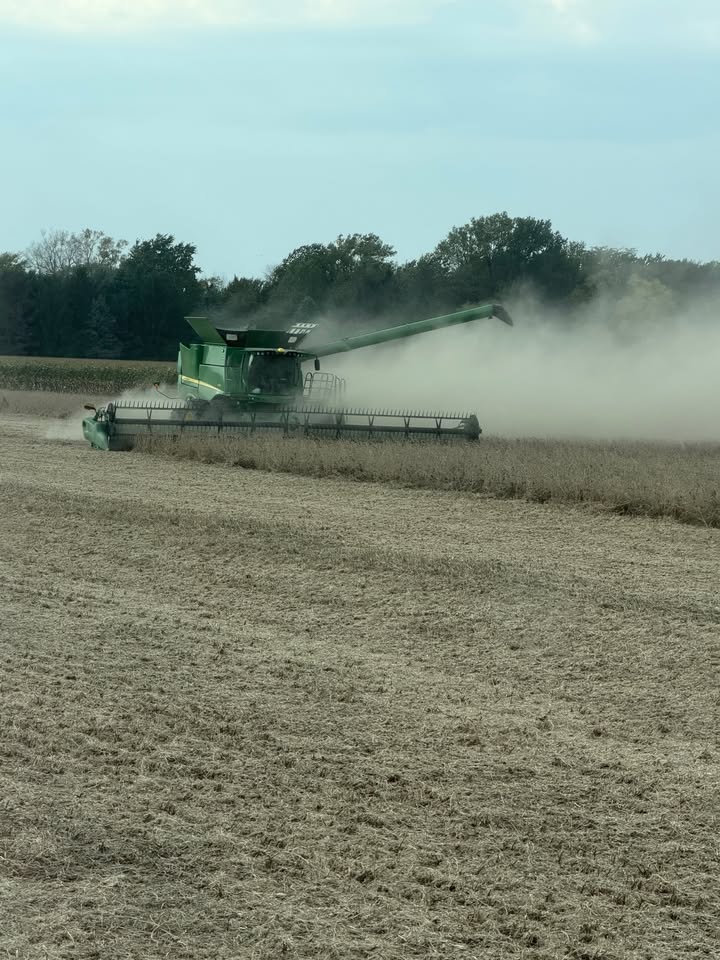 Seed Genetics Direct
