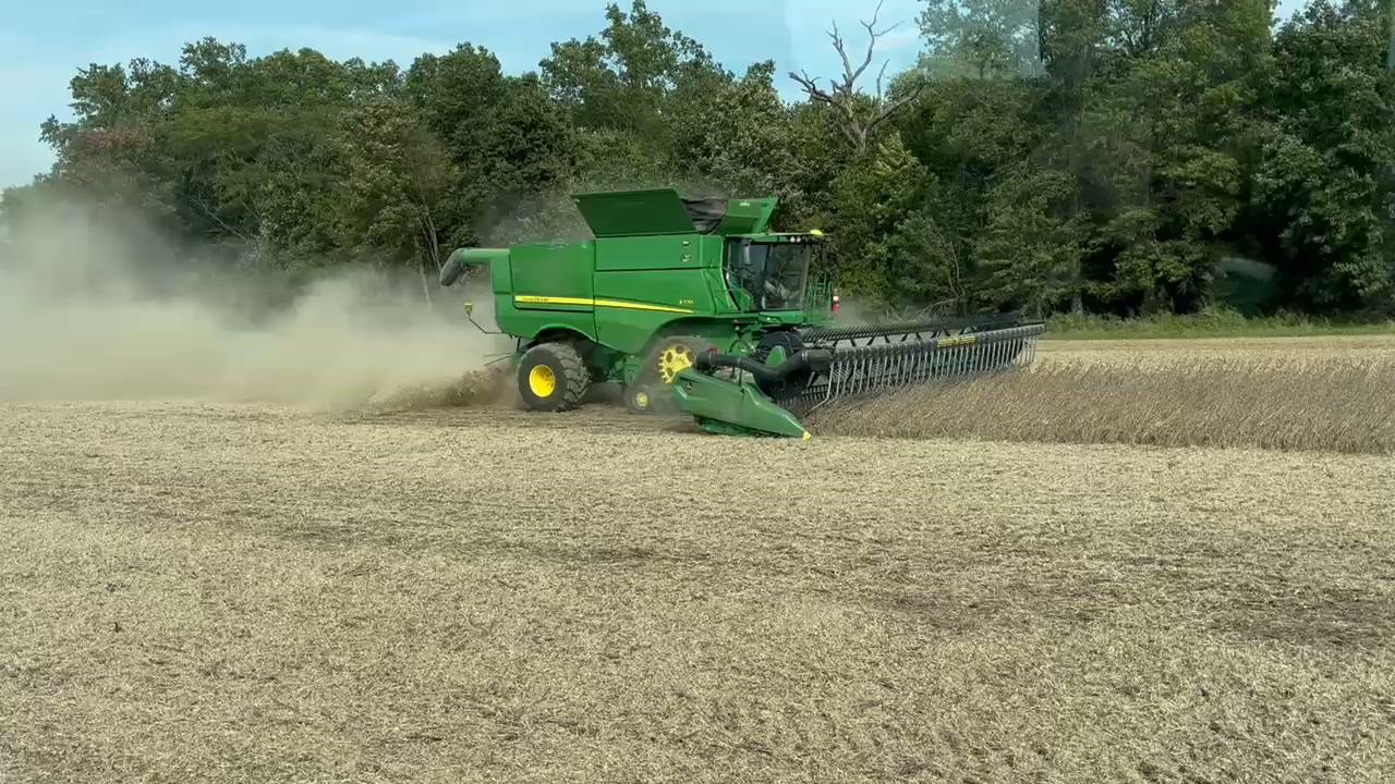 Seed Genetics Direct